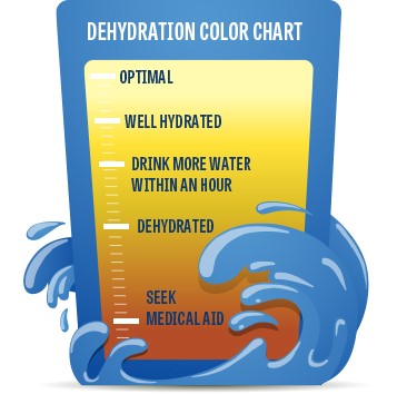 Dehydration Color Chart